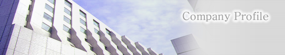 Company Profile
