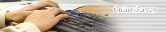 Online Survey