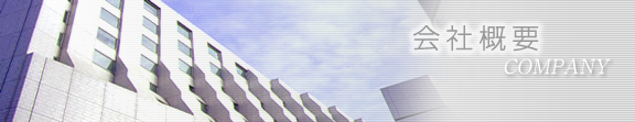 ЊTv